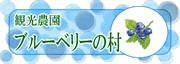 ブルーベリーの村